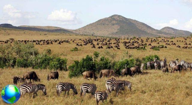 Un sueño llamado Kenia: safari y relajación