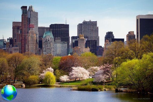 Primavera en Nueva York, 5 cosas que hacer