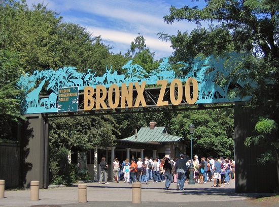 Zoológico del Bronx: horarios de apertura, precios de las entradas y cómo llegar