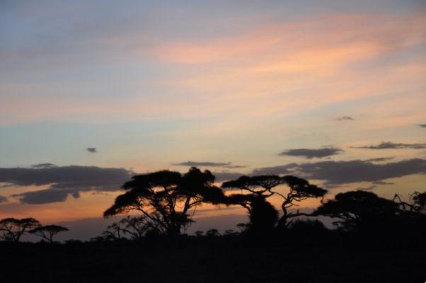 La guía de las bellezas de África en pocas palabras